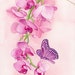 Pink Butterfly - 8x10 ORIGINAL watercolor painting by Tracy Lizotte