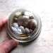 25% OFF Vintage 1970s Seashore Shells Sand Paperweight