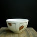 READY TO SHIP cockroach beetle cereal bowl for him, quirky gift for him, insect lover gift