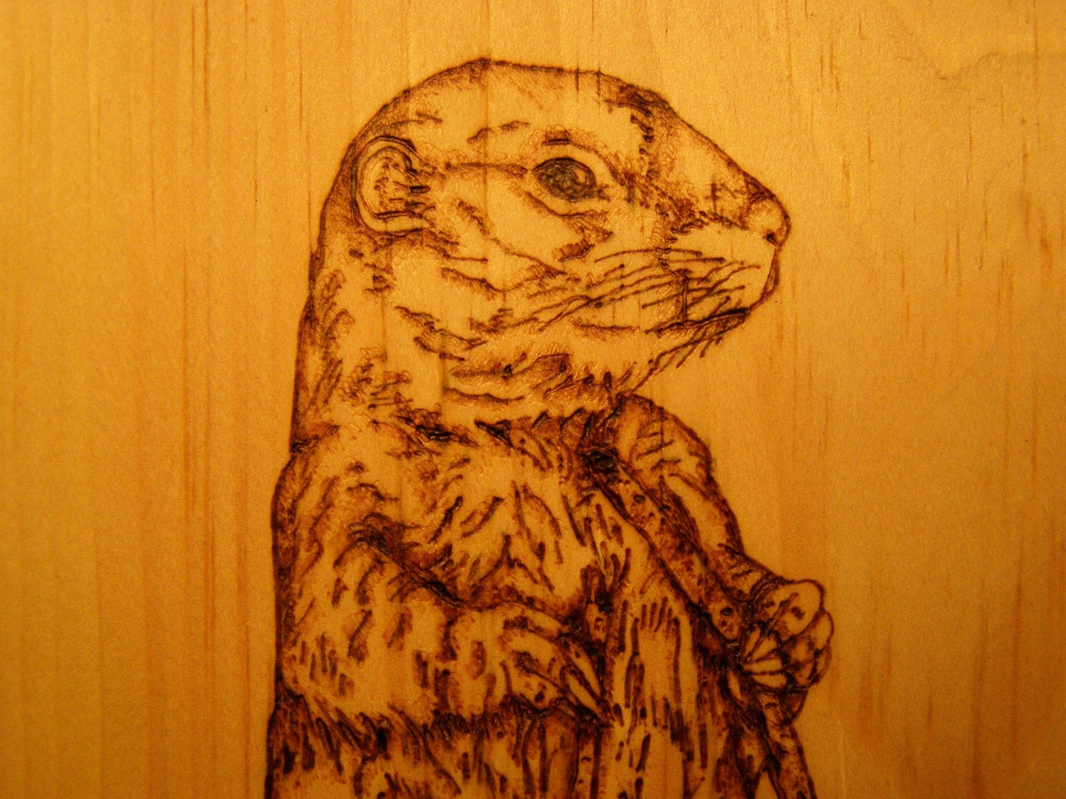 Home Decor 9x12 Gopher Wood Burned Plaque