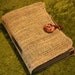 Thick Coffee Bag Book
