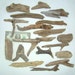 Natural Raw Driftwood of Atlantic Ocean Lot of 18 / for home decor or any project / Y09
