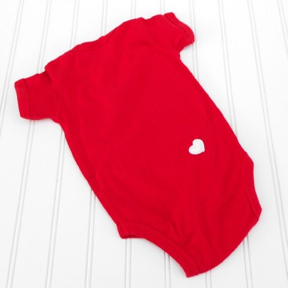 READY TO SHIP Onesie Robin Boy Wonder