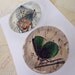 Butterflies - Round Glass Magnet Set