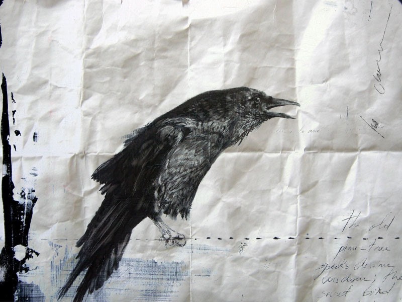 Crow study IV Limited Edition Fine Art Print