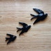Black wall swallow trio bird lot.