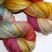 Hand dyed Worsted Weight Yarn 220 Yards Wool Wildflowers