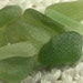 10 Pastel Mix Herb Garden Green Pendant Charm Size Seaglass Treasures (SG885) Pretty Sea Glass