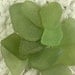 12 Pastel Mix Herb Garden Green Charm Earring Size Seaglass Treasures (SG887) Fresh Sea Glass