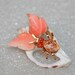 Cutie Bug Vintage Seashell Brooch