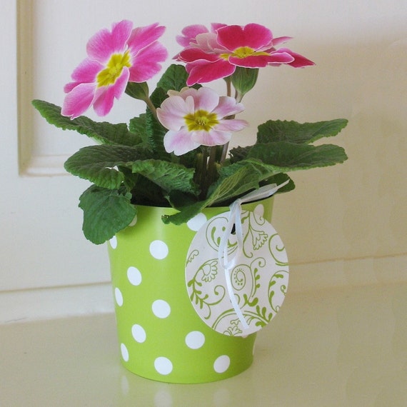 Flower vase or planter centerpiece idea for Baby Shower