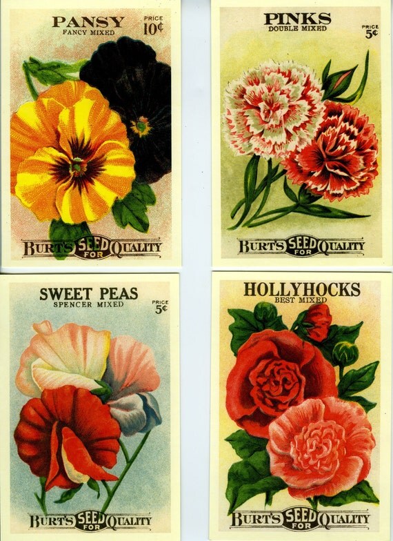 Vintage Flower Seed Packet Postcards Botanical Style by