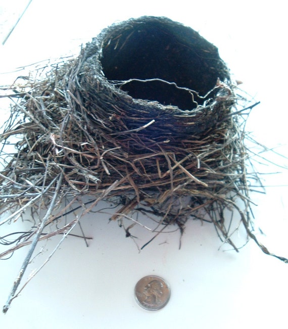 Robin's Bird Nest II Field Grass Mud Twigs by TheKarmaVintage