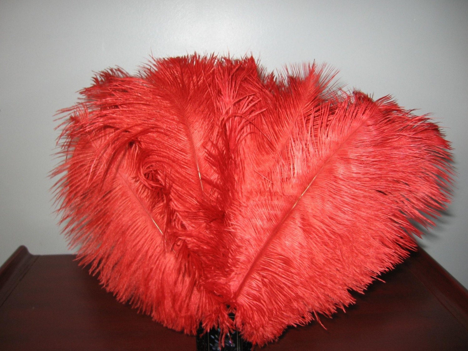 red ostrich feathers plumes millinery supplies by AuntJudysAttic