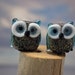 Bonnie and Clyde........ lampwork owl bead pair...sra