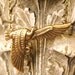 Phoenix Rising - Egyptian bird necklace
