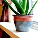Flower pot - roses are blue 4" ceramic planter