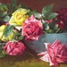 PRINT FREE SHIP Sweet Rose Memories Dangon Half Yard Long