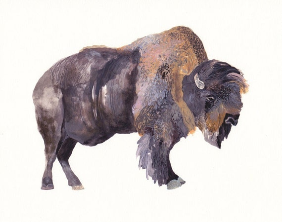Bison Archival Print by unitedthread on Etsy