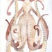 Octopus - Original painting
