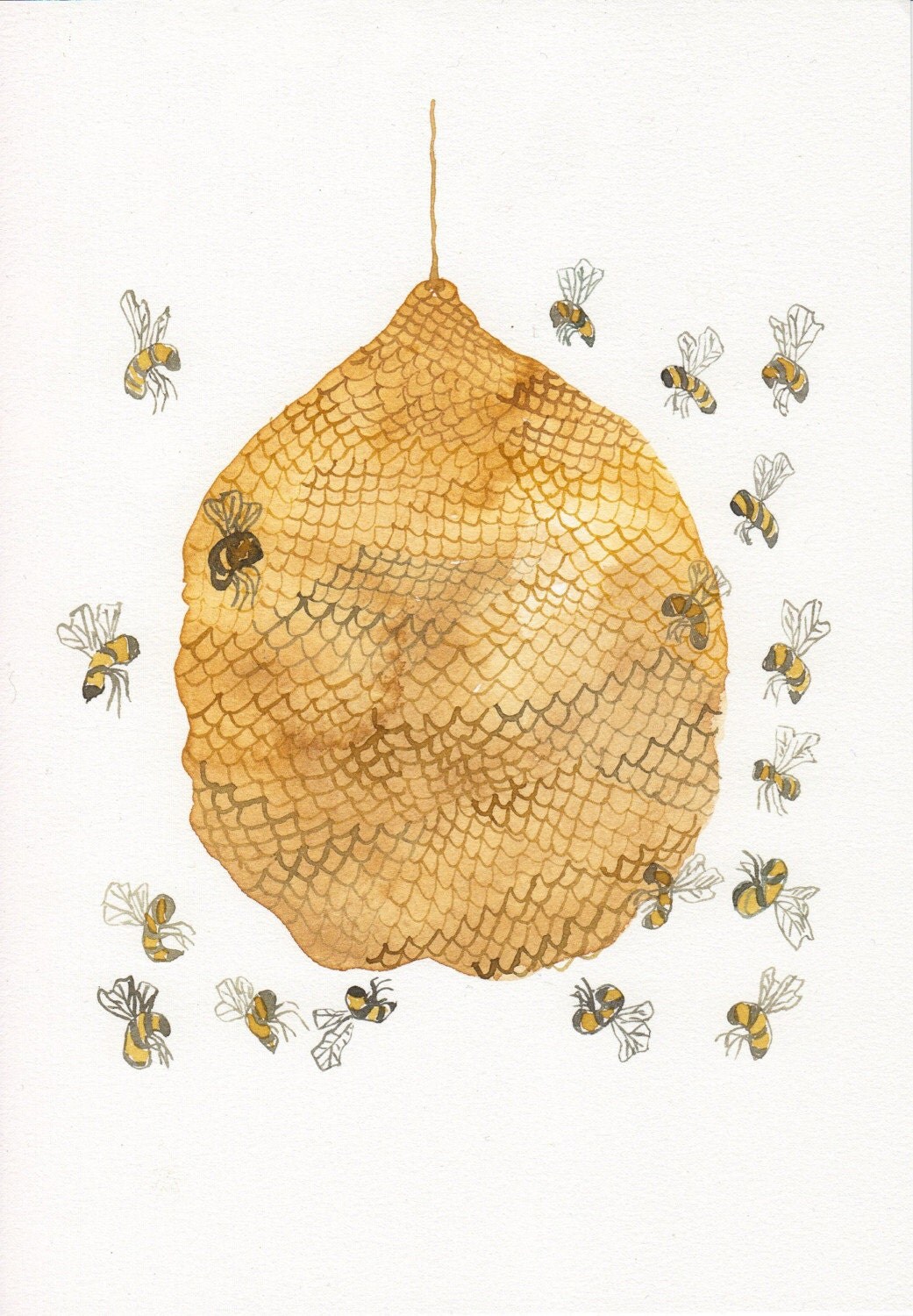 Honey Bee Hive No. 3 Original watercolor painting