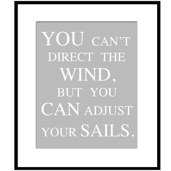 You Can't Direct The Wind But You Can Adjust Your Sails