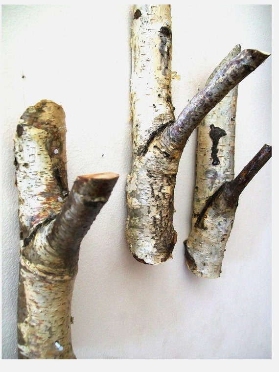 Three 3 Rustic Tree Branch Birch Wood Coat Hooks by TheHickoryTree