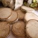 10 Birch Wood Blanks - 3 Inch - for Wedding Decor, Special Events, Reunions, Anniversaries, Green Brides, Craft Booths