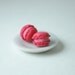 3D Macaron Polymer Clay Studs