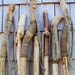 58 inch walking stick with natural finish and hemp strap - Woodland hiking staff