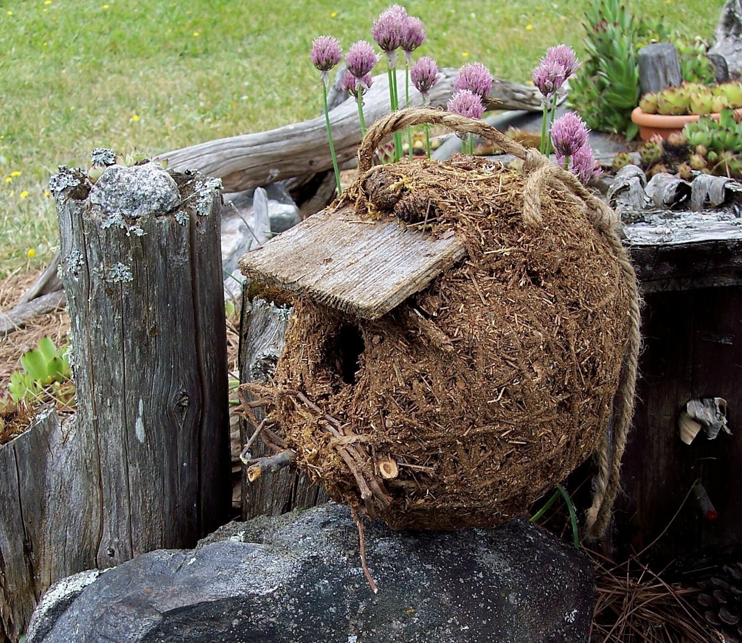 Birdhouse Rustic Pine Needle Nest