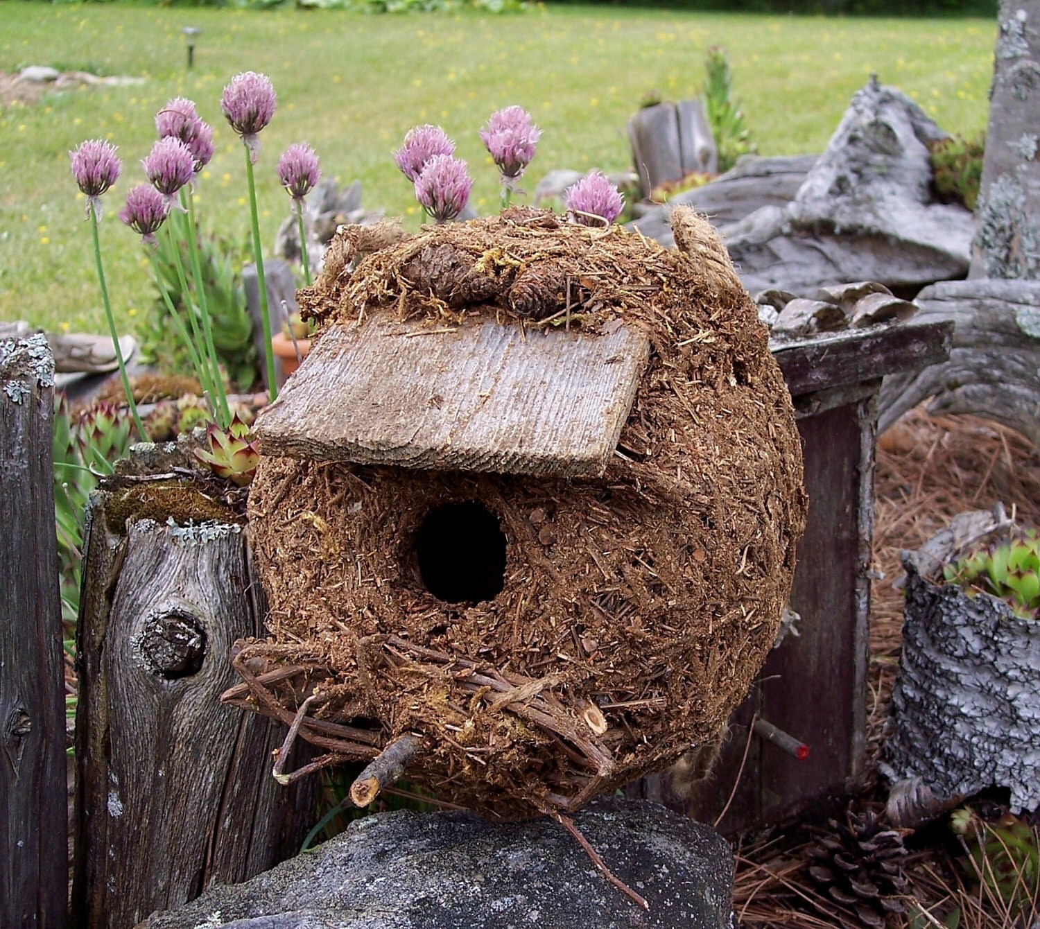 Birdhouse Rustic Pine Needle Nest