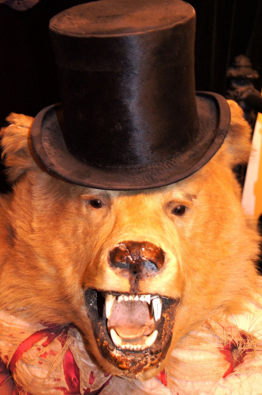 stuffed bear for sale taxidermy