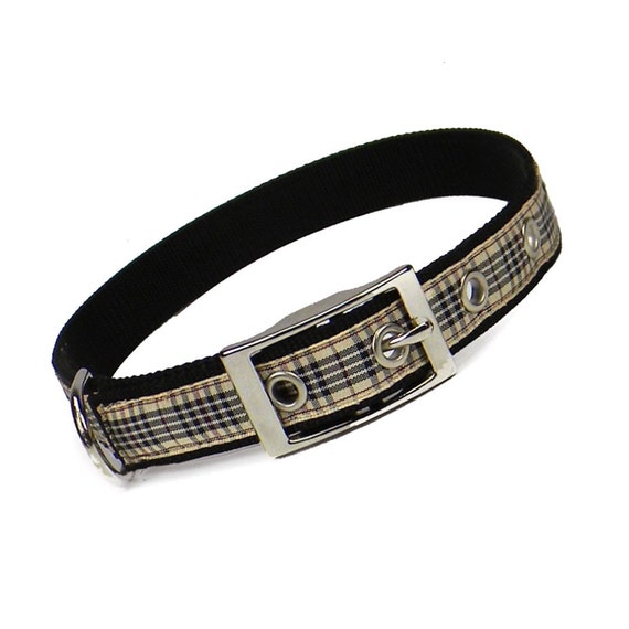 burberry plaid dog collar 3/4 inch