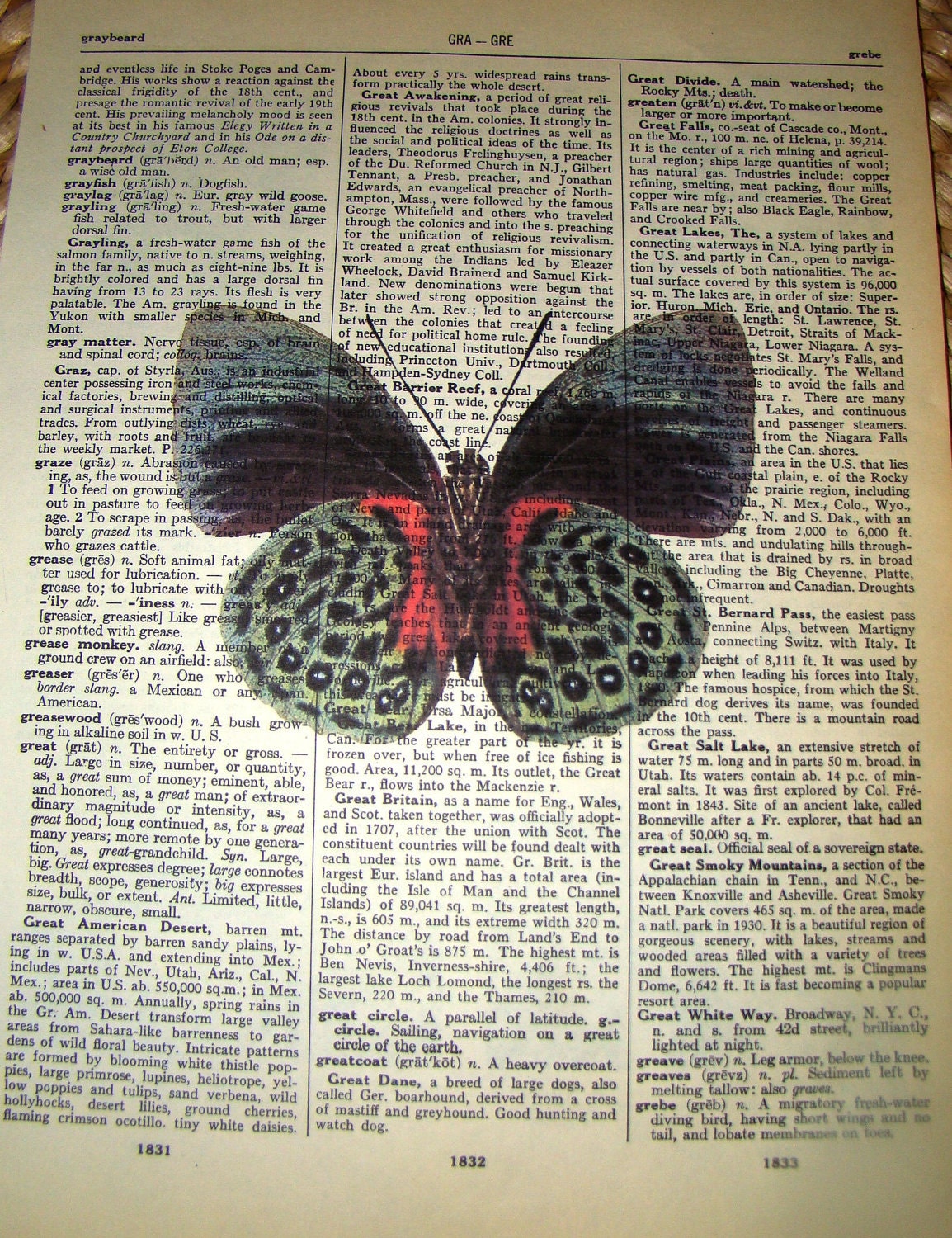 Dictionary art print butterfly printed on antique dictionary