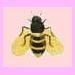 BeeIncarnate