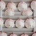 Sweet summer SAND DOLLARS and SEASHELLS for wedding favors or seating