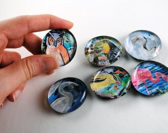 Bird Bubble Magnets, Set of 6