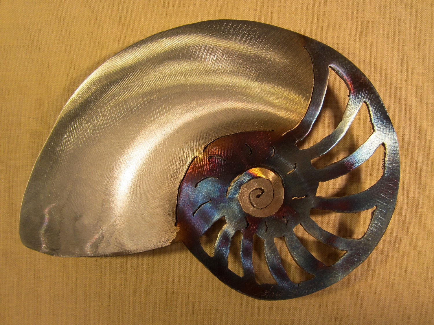Nautilus Shell Steel Wall Art Metal Sea Ocean Beach House
