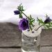 White Lace Flower Holder