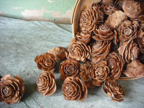 100 Cedar Roses all natural cone from the by NHWoodscreations