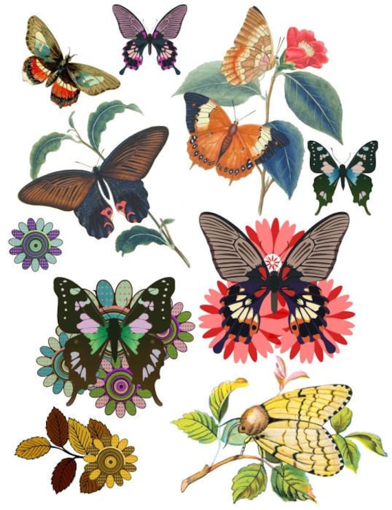 butterflies butterfly flower clip art by DigitalGraphicsShop