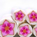 Reserved to Ramona - Polymer clay millefiori cane -Pink Cherry Blossom Little opening bud Flower