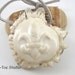 Compass Carved Antler Button and Tru-Nord Compass