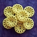 vintage sewing buttons 60s Yellow Blooms pierced 5/8" x9