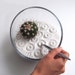 Whimsical Cactus Lost In Zen III ( Modern Zen Garden )