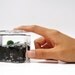 Baby Marimo Inside Its Habitat