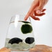 Marimo Pet in the Frosted Lake