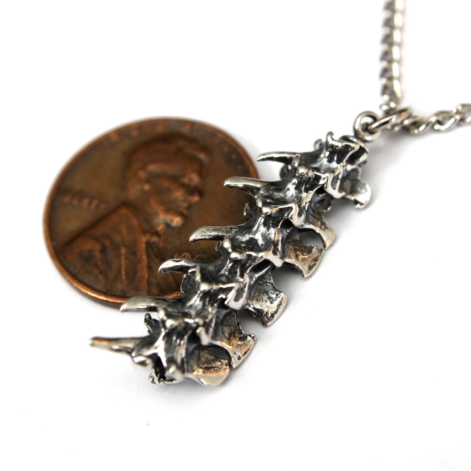 Snake Vertebrae Necklace Silver Rattlesnake Vertebrae by mrd74