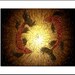 Signed 8x10 Fine Art PRINT With MATTE of Original Modern Textured Abstract Red Contemporary Gold Koi Fish Metallic Painting - Koi Morning